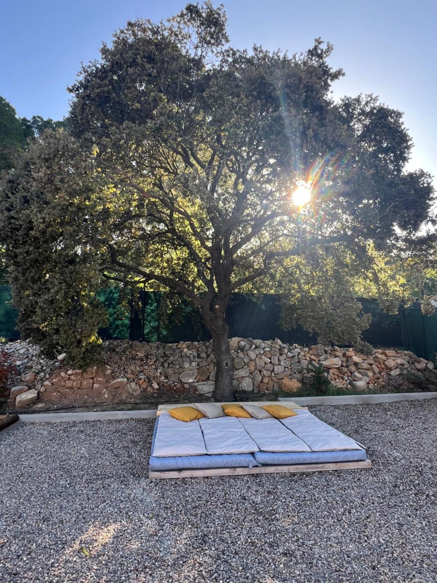 Villa La Provence Piscine Privee, Petanque Et Barbecue Les Arcs-sur-Argens Exterior foto